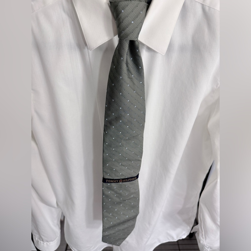 DS Tommy Hilfiger Gray and Blue Patterned Silk Tie w/ original tags.